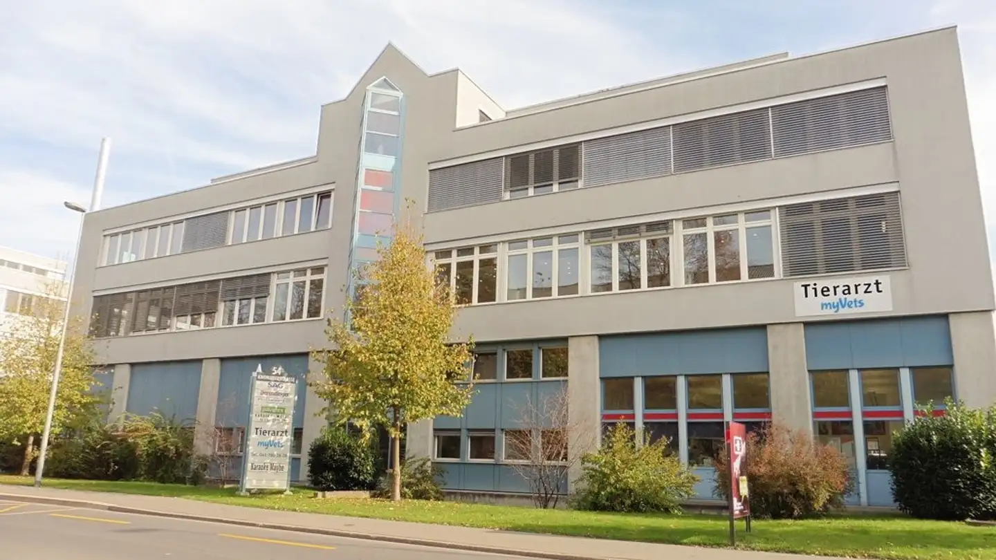 Commercial à louer - Knonauerstrasse 54, 6330 Cham