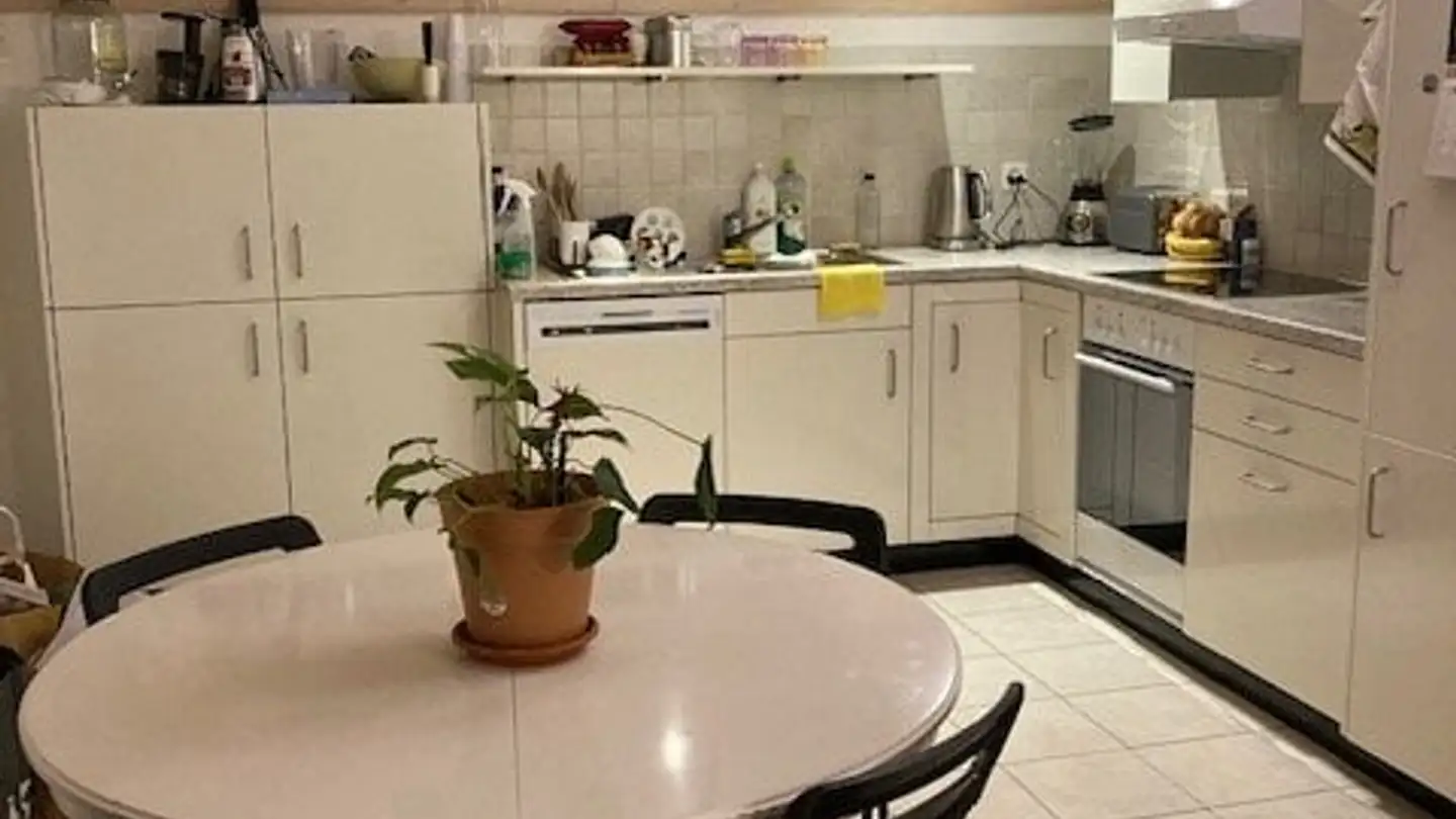 Appartamento in affitto - Via Camelia 6, 6600 Muralto