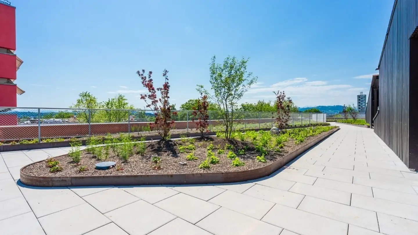 Studio mieten - Reichenbachstrasse 120, 3004 Bern - Foto 2