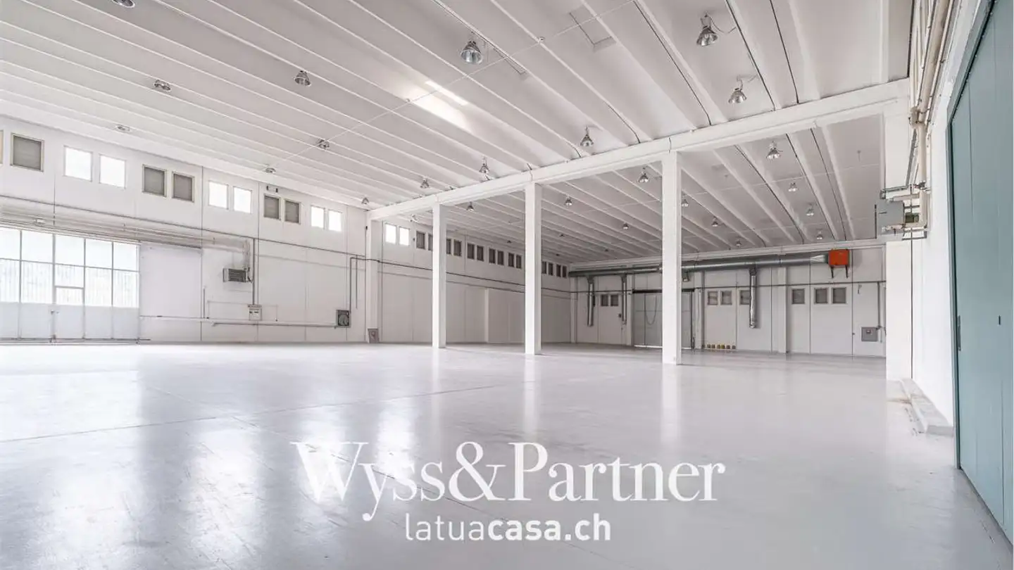 Office space for rent - 6934 Bioggio