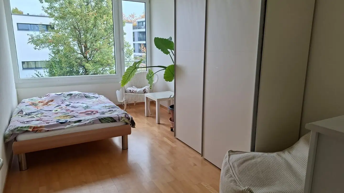 Chambre à louer - 8820 Wädenswil