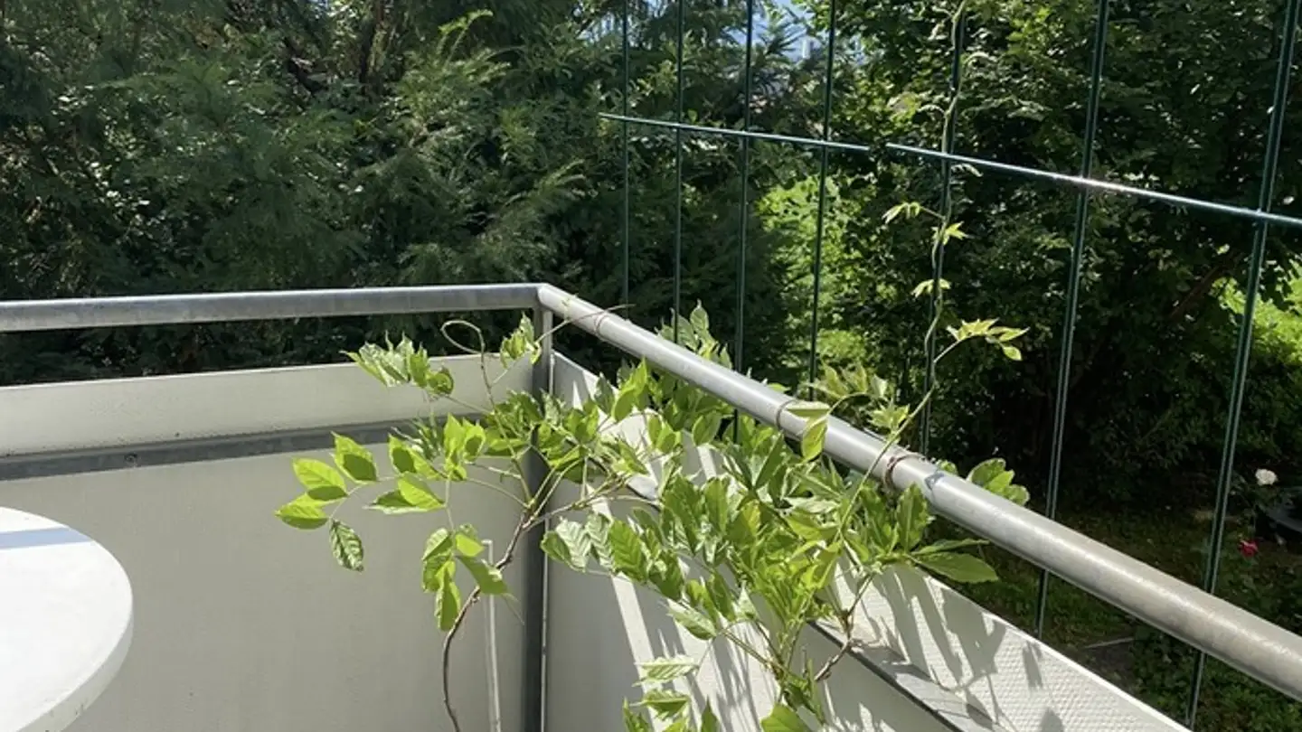 Single room for rent - 8500 Frauenfeld - Photo 2