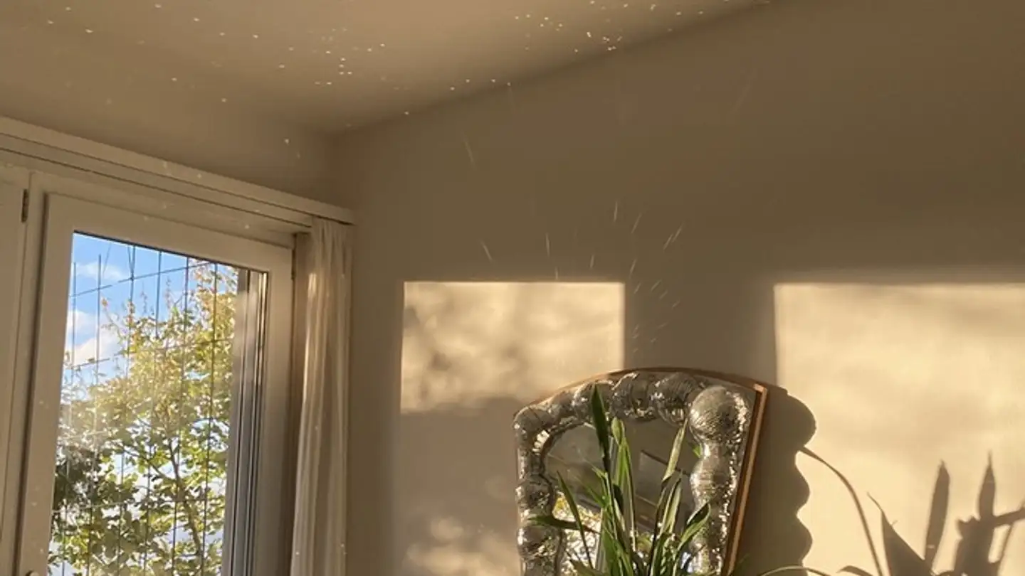 Single room for rent - 8500 Frauenfeld - Photo 3