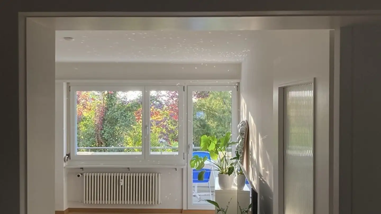 Stanza singola in affitto - 8500 Frauenfeld