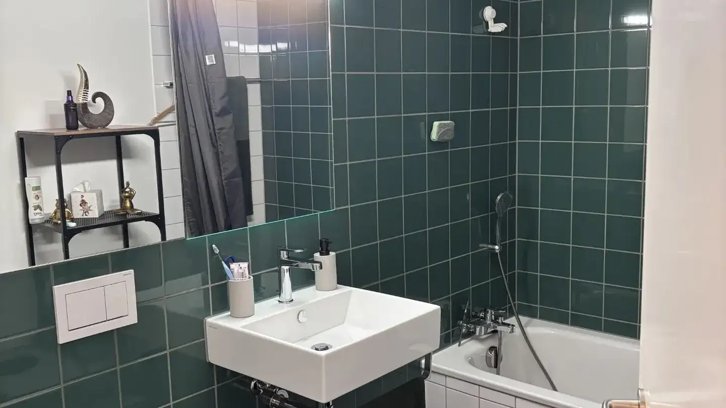 Apartment for rent - Panoramastrasse 11, 8903 Birmensdorf ZH - Photo 4