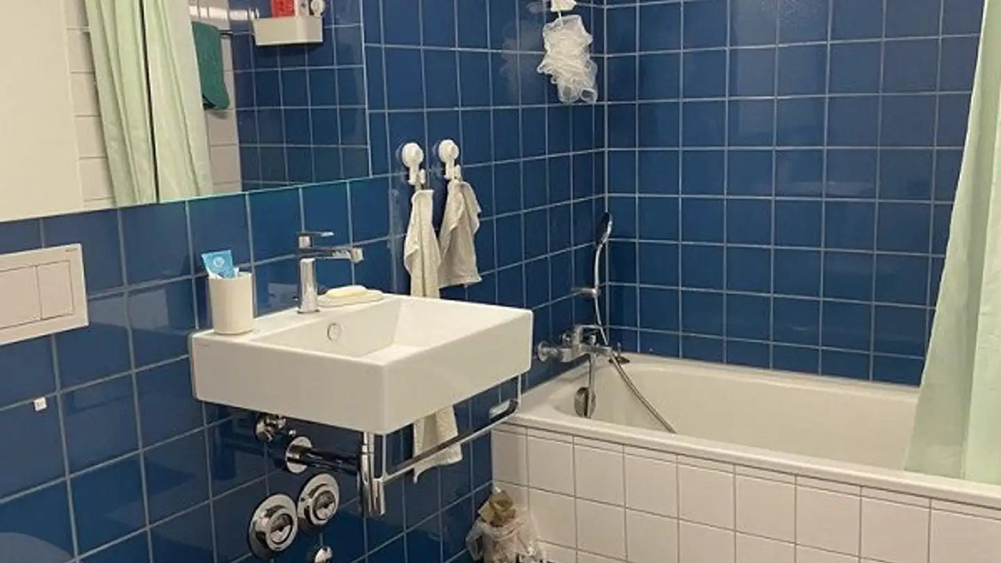 Wohnung mieten - Alte Urdorferstrasse 12, 8903 Birmensdorf ZH - Foto 2