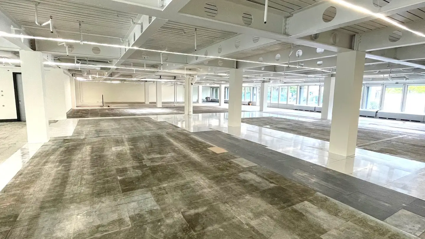 Commerciale in affitto - Chemin De Roseneck 5, 1006 Lausanne - Foto 4