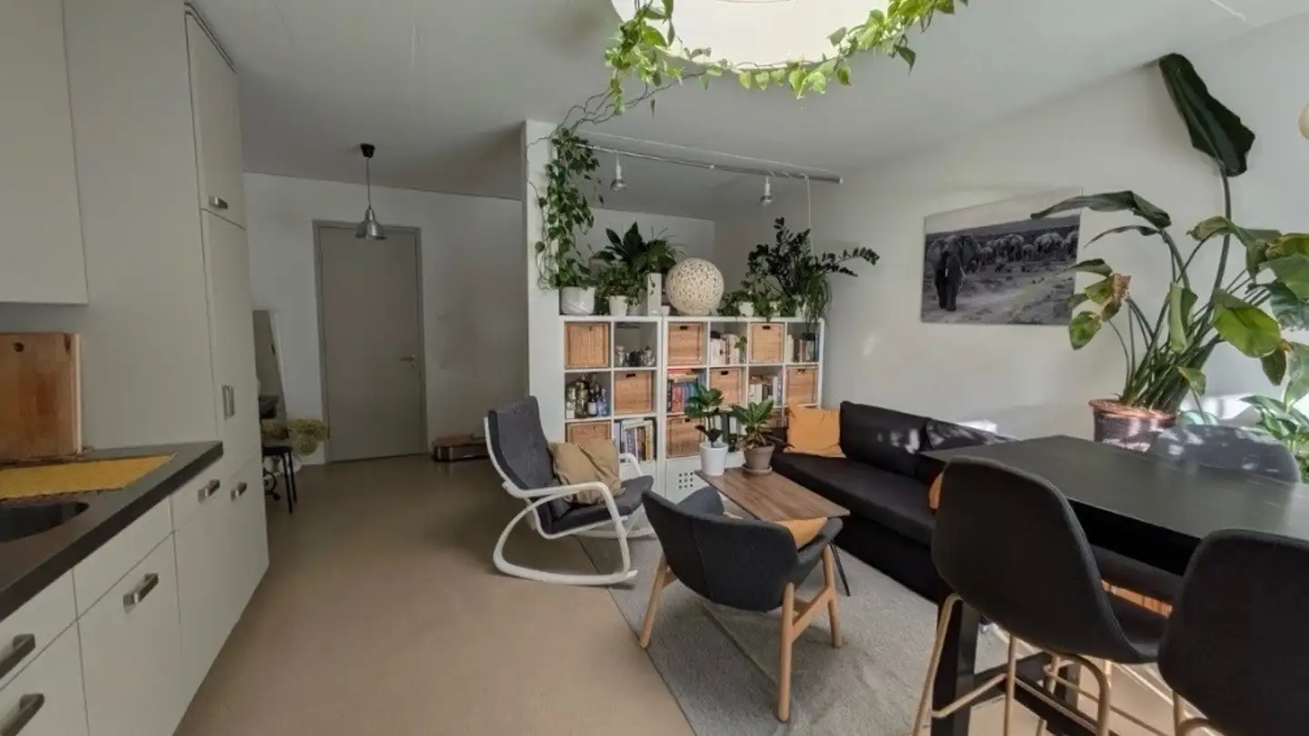 Wohnung mieten - Luegislandstrasse 33i, 8051 Zürich