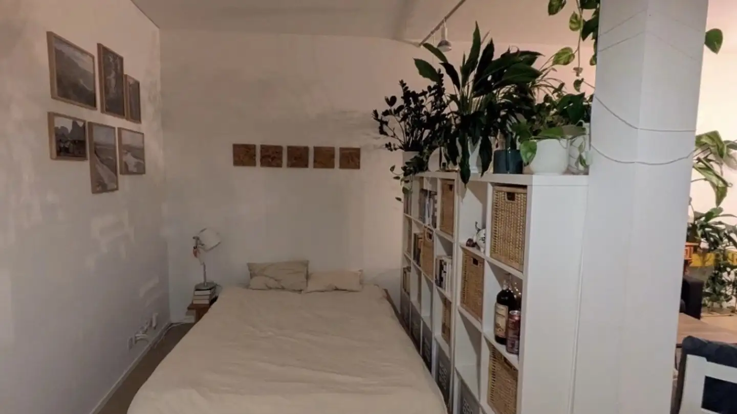 Wohnung mieten - Luegislandstrasse 33i, 8051 Zürich - Foto 4