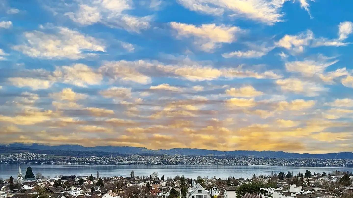 Attico in vendita - Lerchenbergstrasse, 8703 Erlenbach ZH - Foto 2