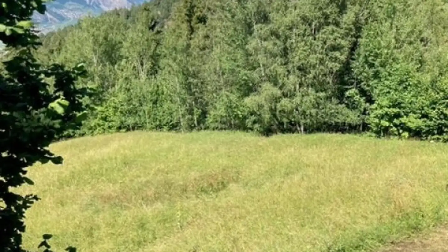 Constructible plot for sale - 1907 Saxon - Photo 3