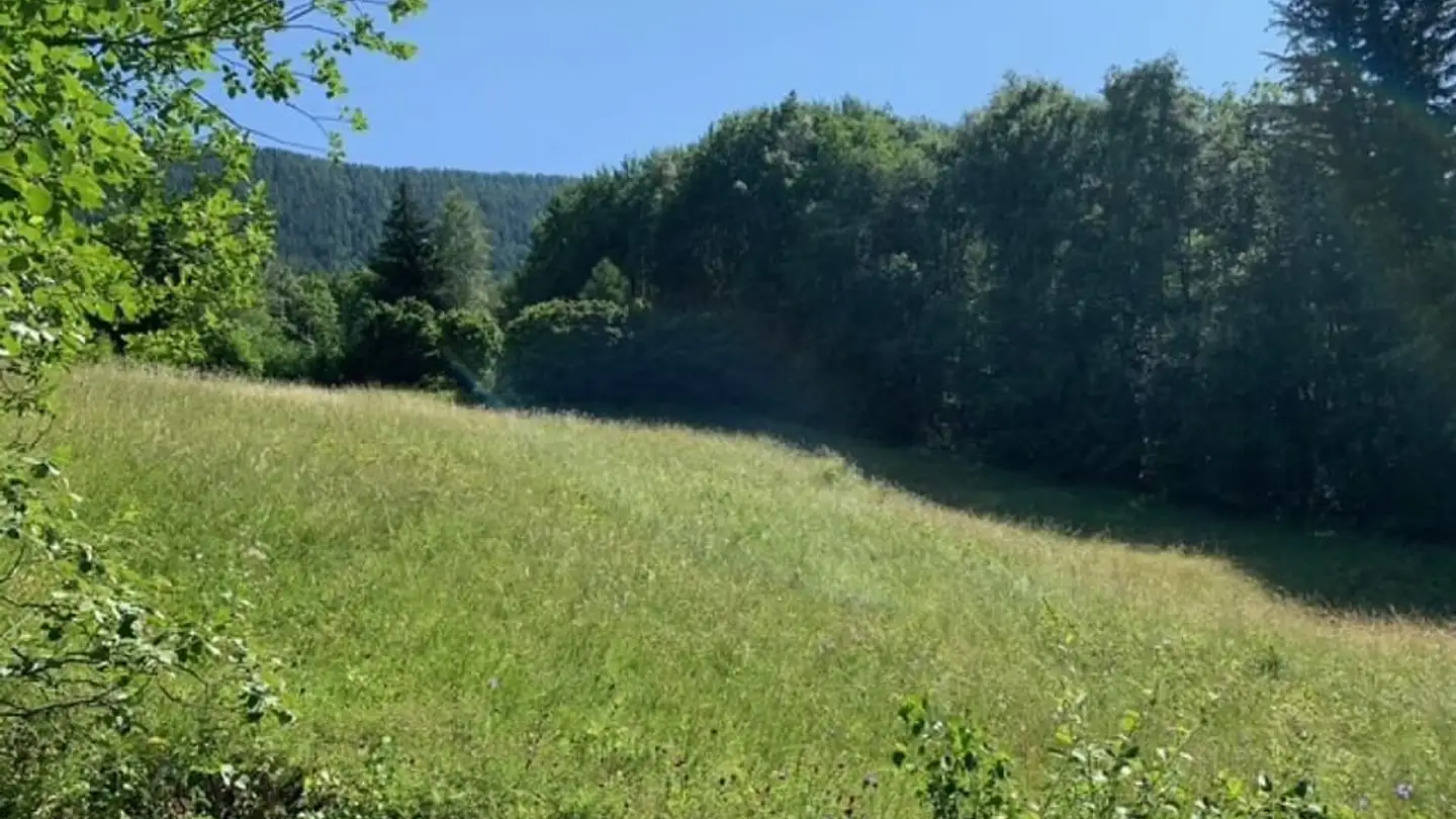 Constructible plot for sale - 1907 Saxon - Photo 2
