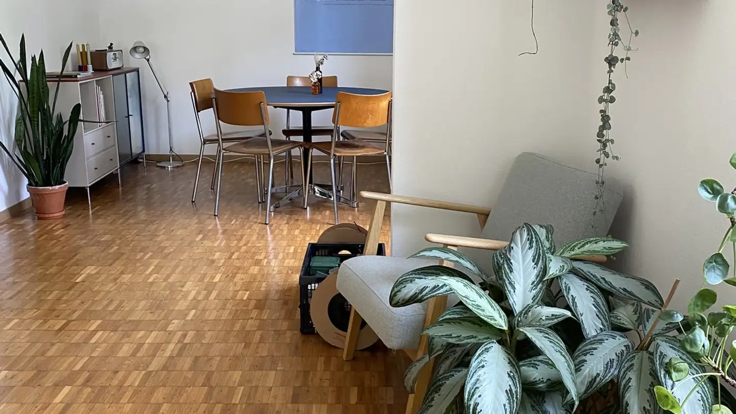 Appartamento in affitto - 8400 Winterthur
