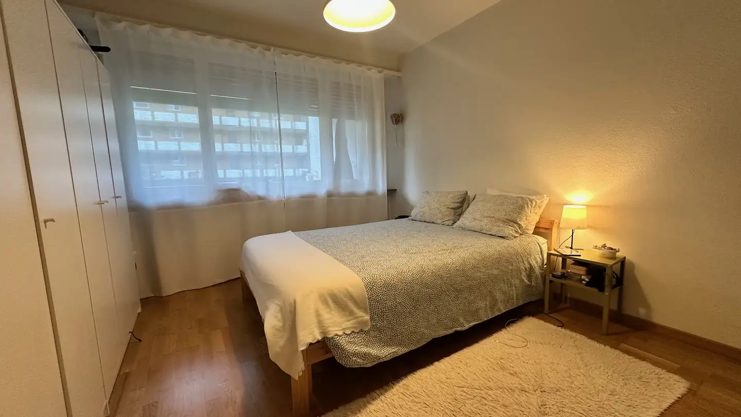 Appartamento in affitto - Langgrütstrasse 29, 8047 Zürich - Foto 2