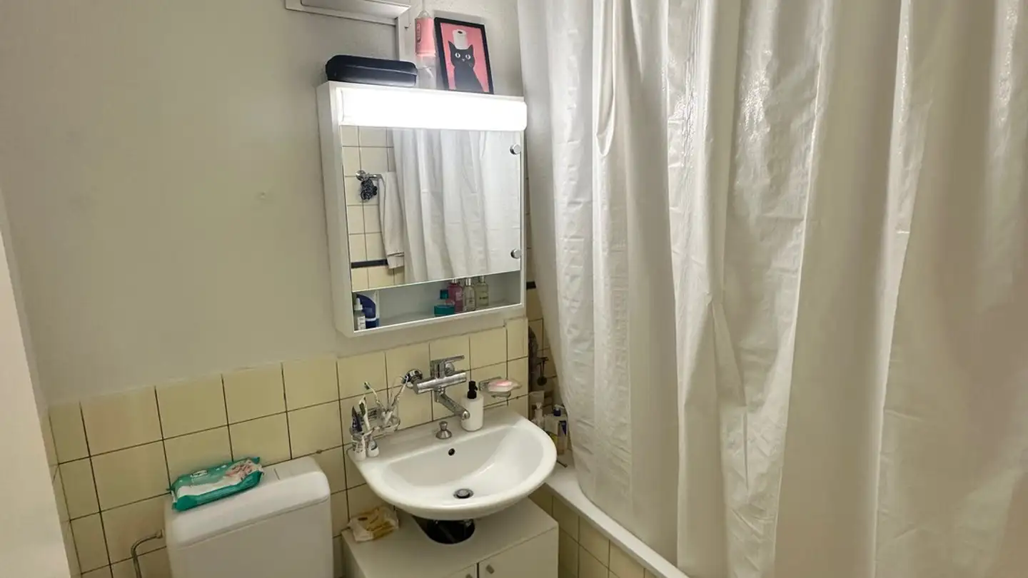 Appartamento in affitto - Langgrütstrasse 29, 8047 Zürich - Foto 4