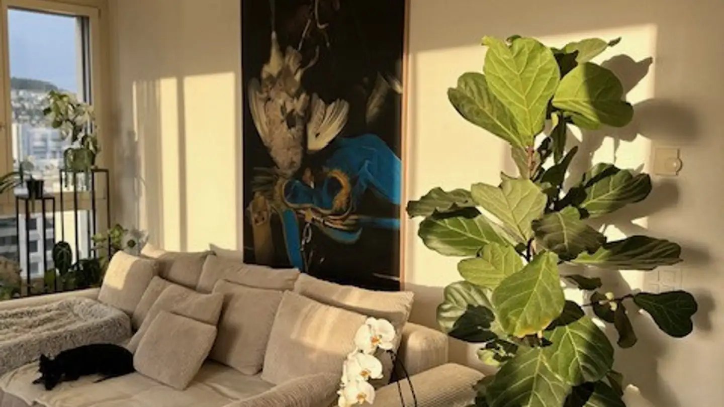 Chambre à louer - 8048 Zürich