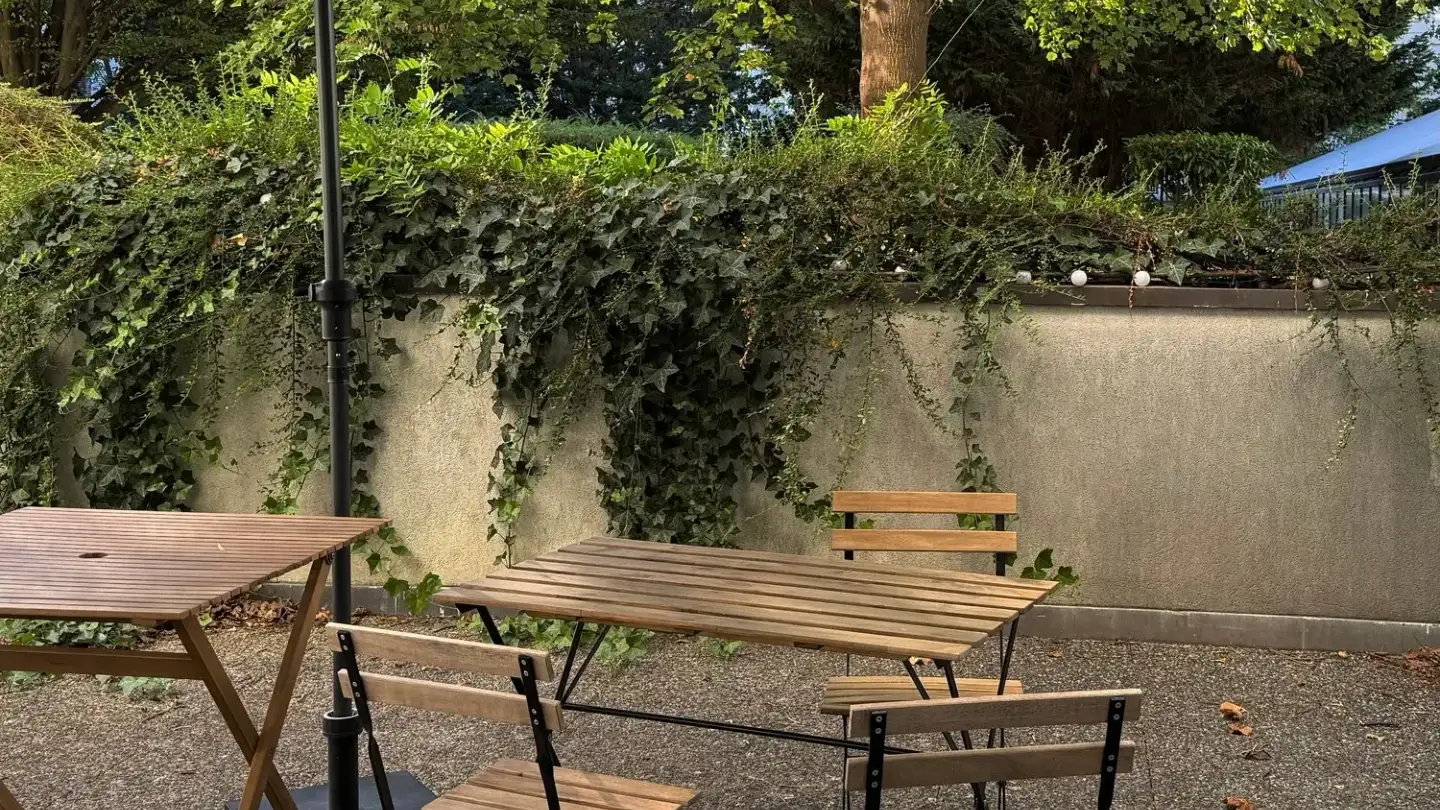 Appartement en terrasse à louer - Promenade De L' Europe, 1203 Genève