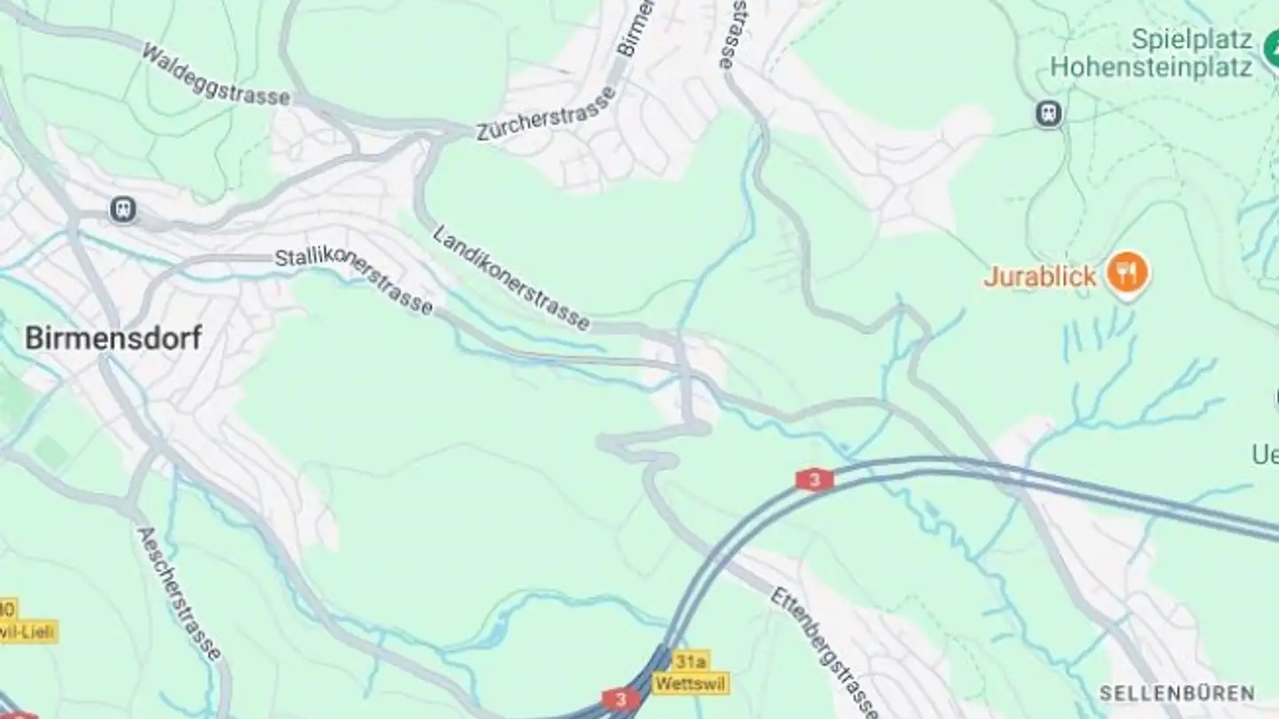Wohnung kaufen - 8903 Birmensdorf ZH