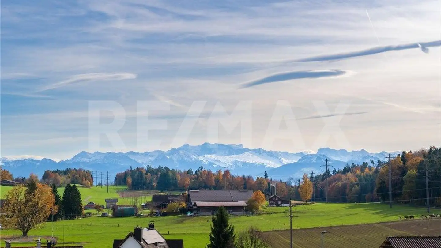 Maison individuelle à vendre - Schönenwerdstrasse 72, 8620 Wetzikon ZH