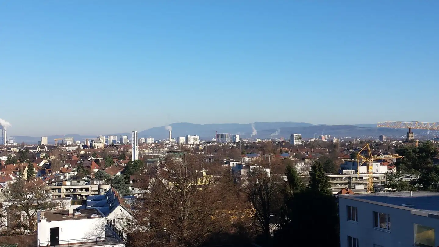 Penthouse for rent - Hasenrainstrasse 30, 4102 Binningen