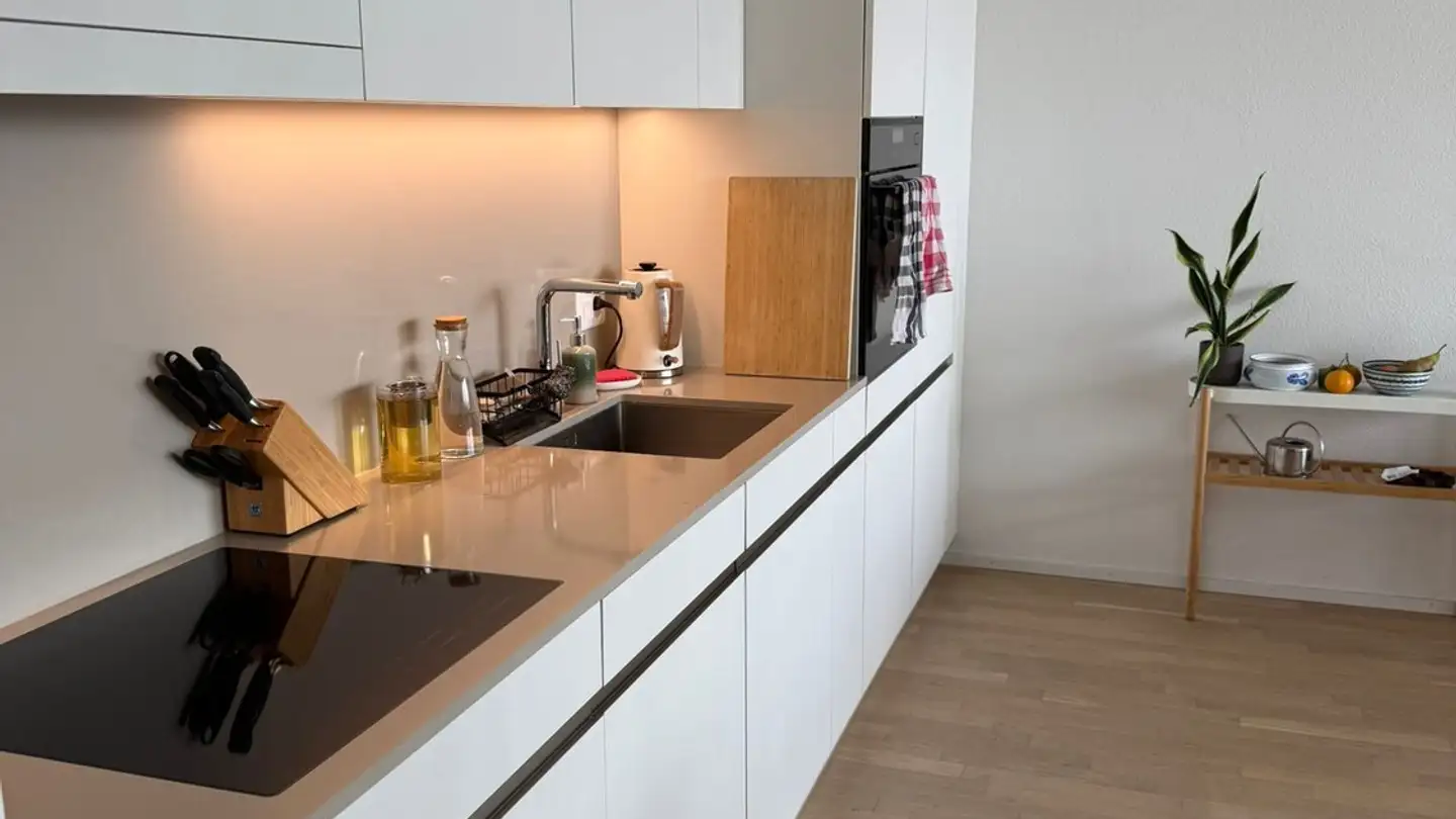 Appartement à louer - 8050 Zürich