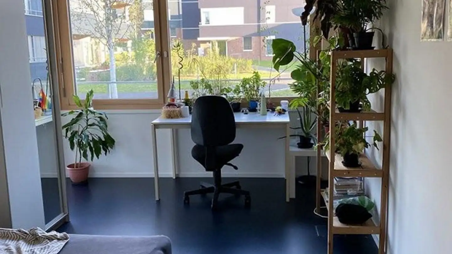 Apartment for rent - Alte Urdorferstrasse 12, 8903 Birmensdorf ZH - Photo 4