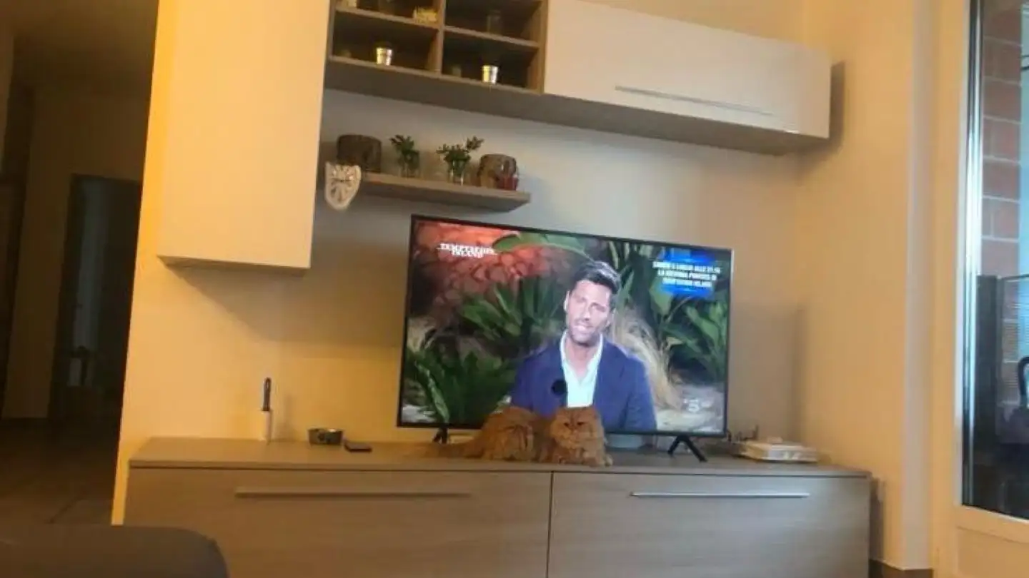 Appartamento in affitto - 6900 Lugano - Photo 3