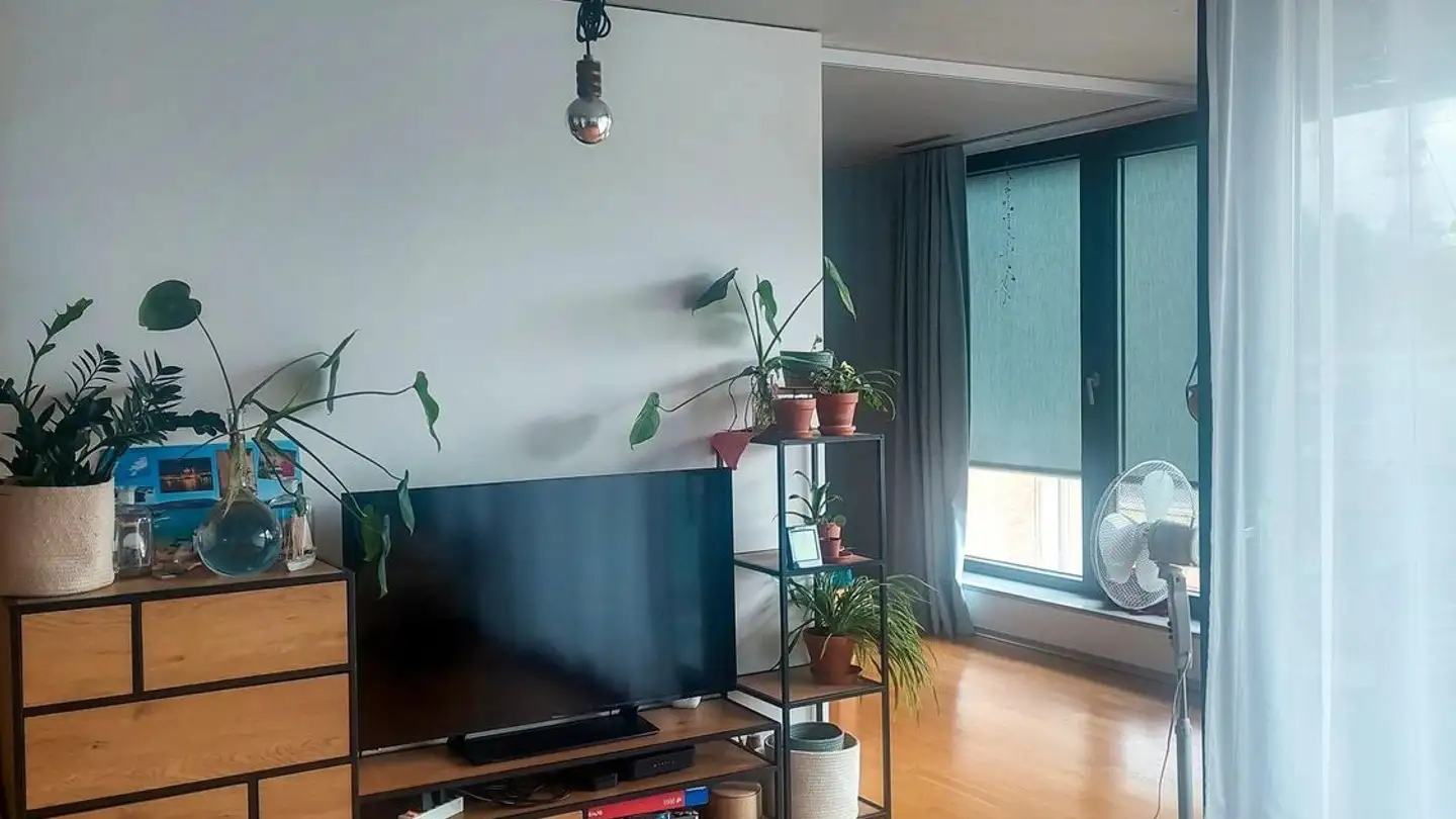 Wohnung mieten - 8400 Winterthur - Foto 3