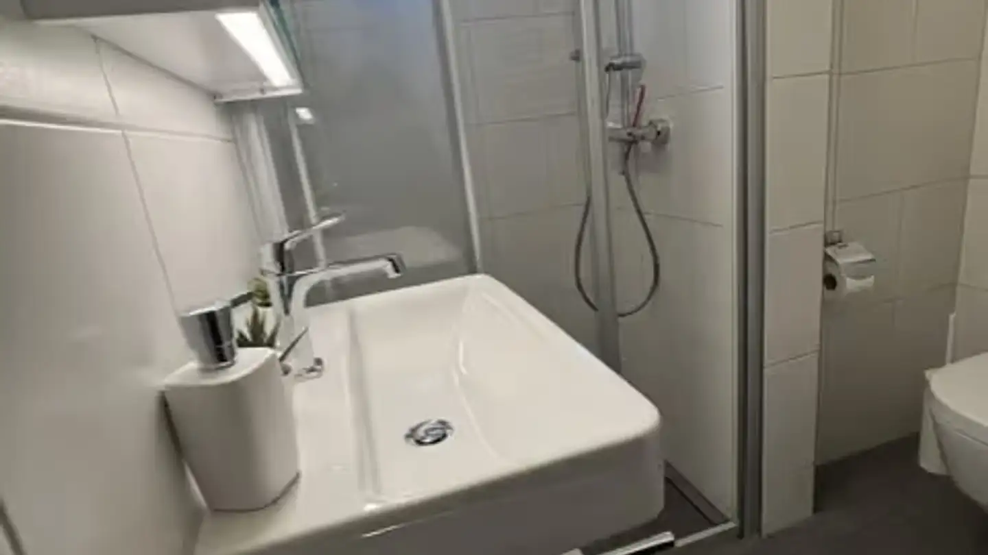 Casa a schiera in affitto - Rossistrasse 11, 8800 Thalwil - Foto 2