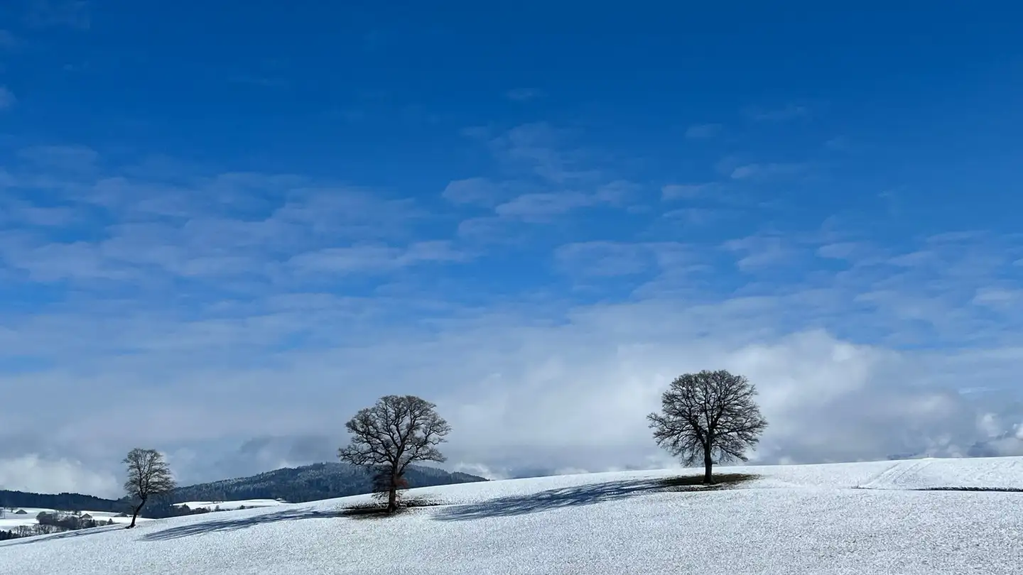 Fattoria in vendita - Route de Bulle, 1697 La Joux FR - Foto 4