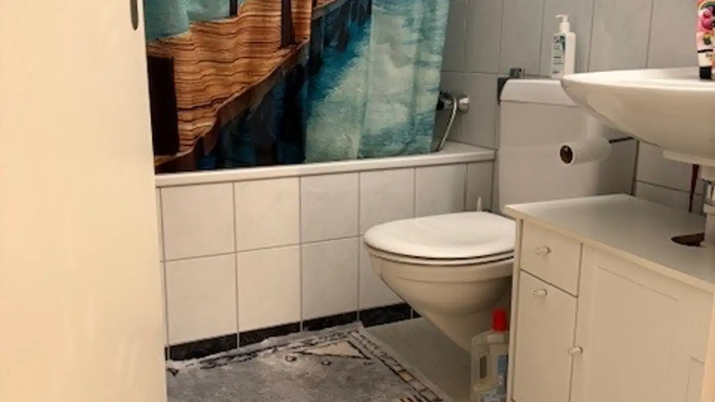 Apartment for rent - Schäflibachstrasse 1, 8953 Dietikon - Photo 4