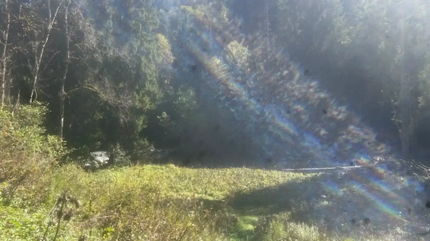 Chalet in vendita - Route Du Pillon 6, 1863 Le Sépey - Photo 3