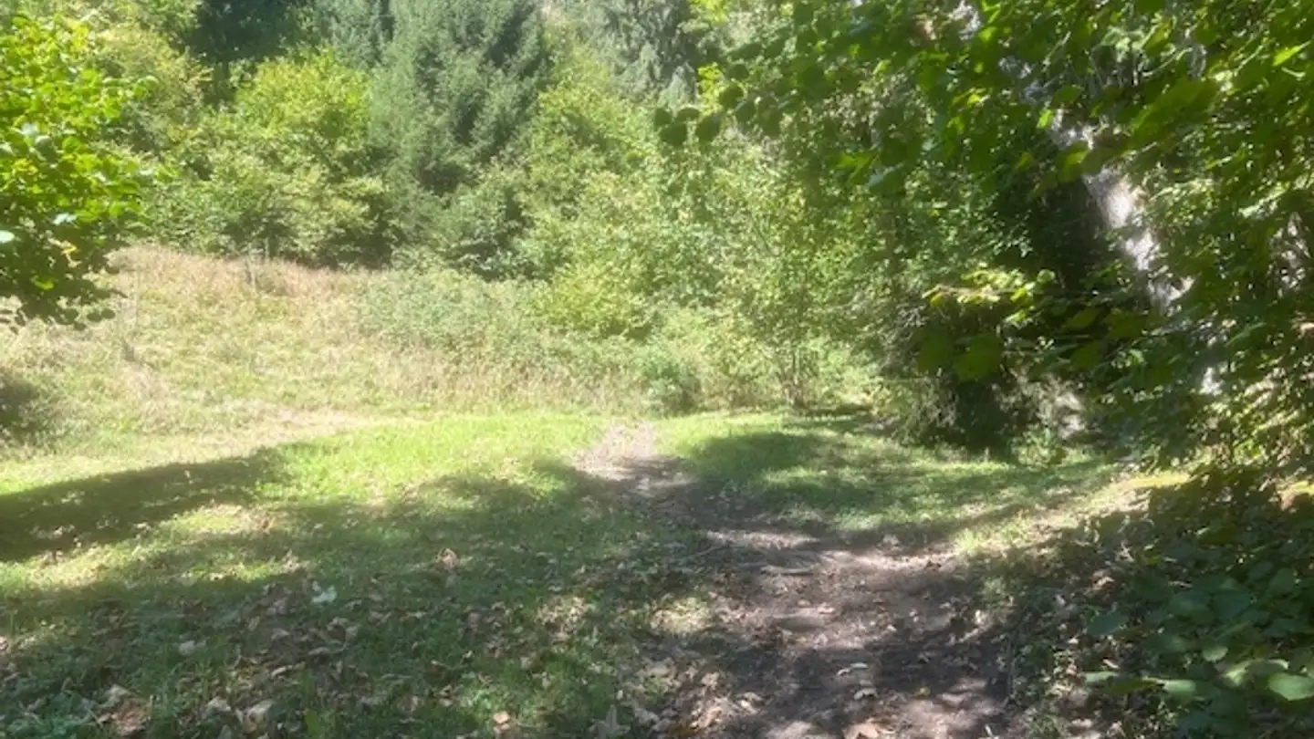 Chalet in vendita - Route Du Pillon 6, 1863 Le Sépey - Photo 4