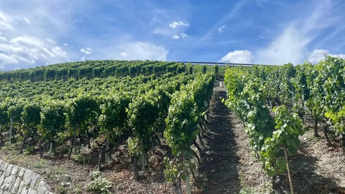 Terreno edificabile in vendita - Sierre, 3960 Sierre