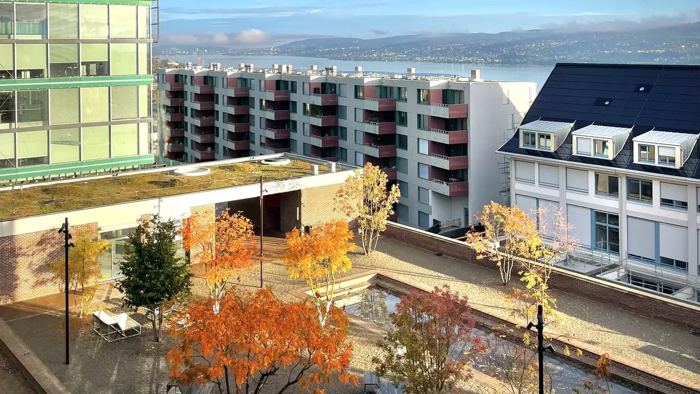 Zimmer mieten - Neugasse 23, 8810 Horgen - Foto 2