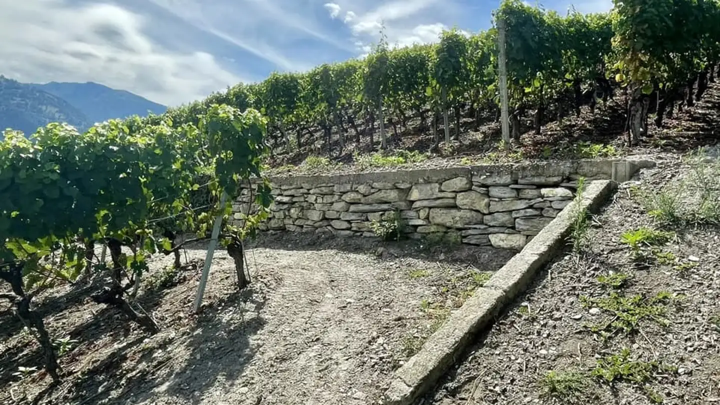 Bauland kaufen - Sierre, 3960 Sierre - Foto 3