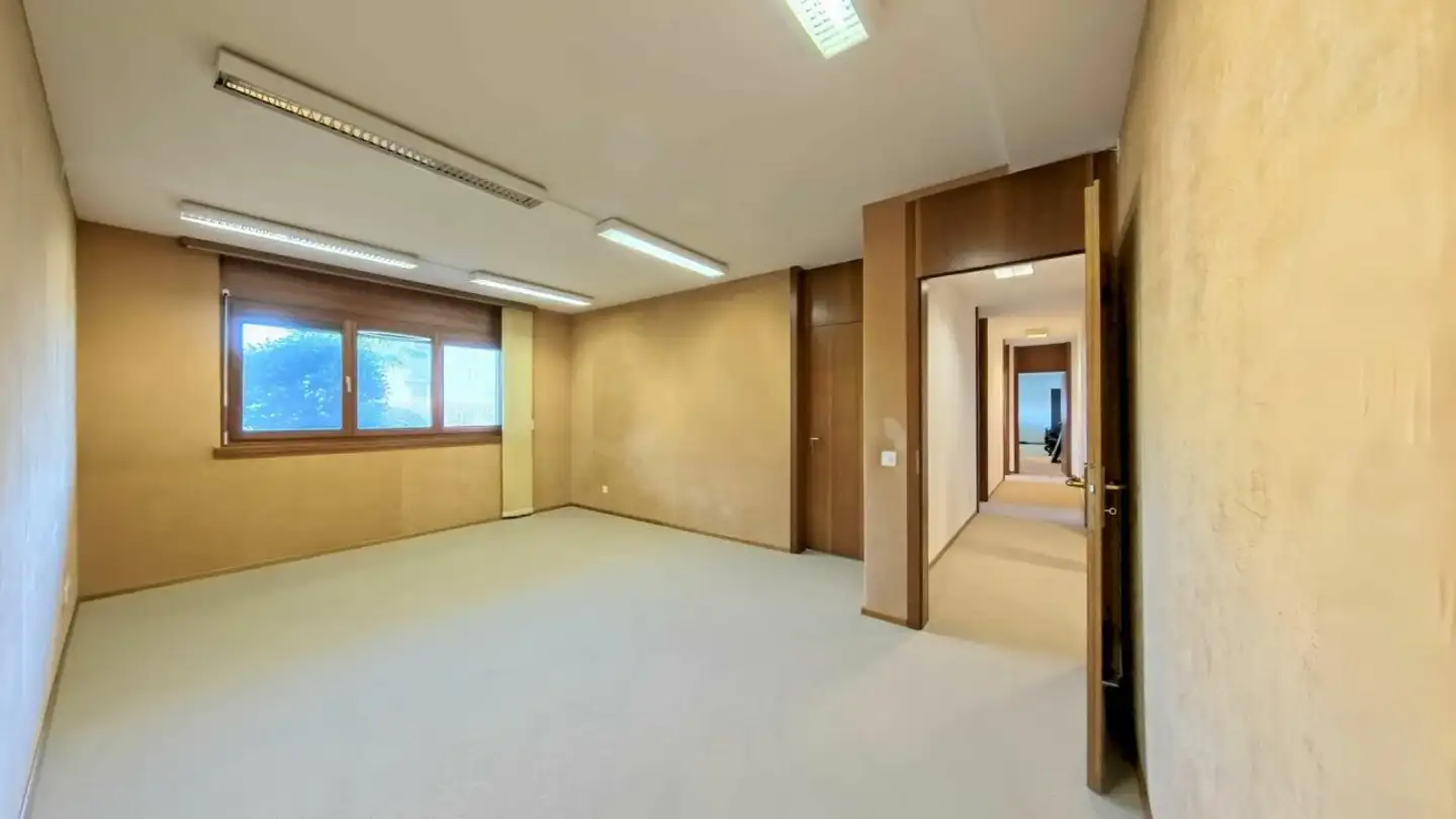 Bureau à vendre - 6900 Paradiso - Photo 4