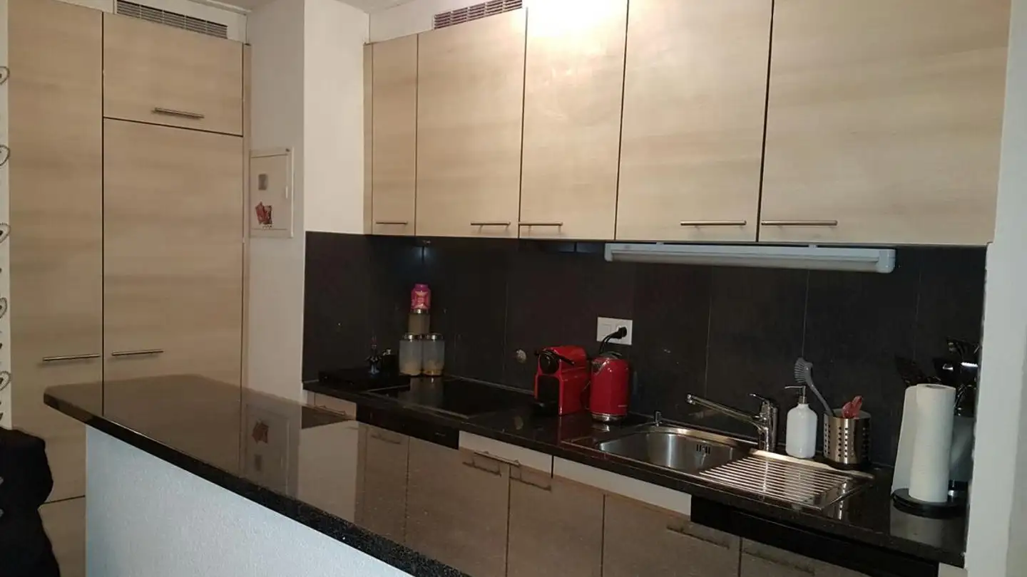 Appartamento in affitto - Chemin Du Petit-Flon 50, 1018 Lausanne - Foto 2