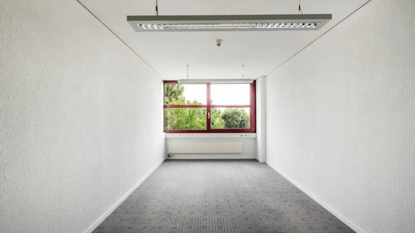 Bureau à louer - Hauptstrasse 104, 9422 Staad SG - Photo 2