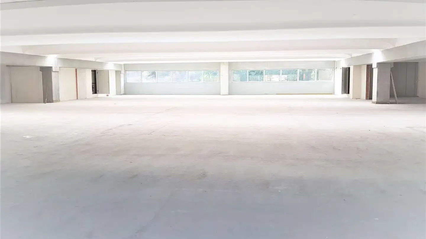 Office space for rent - 6900 Lugano - Photo 2