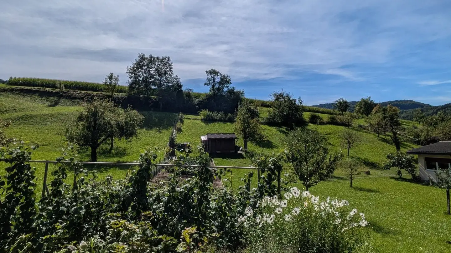 Casa singola in vendita - Talweg 54, 4436 Oberdorf BL - Photo 3