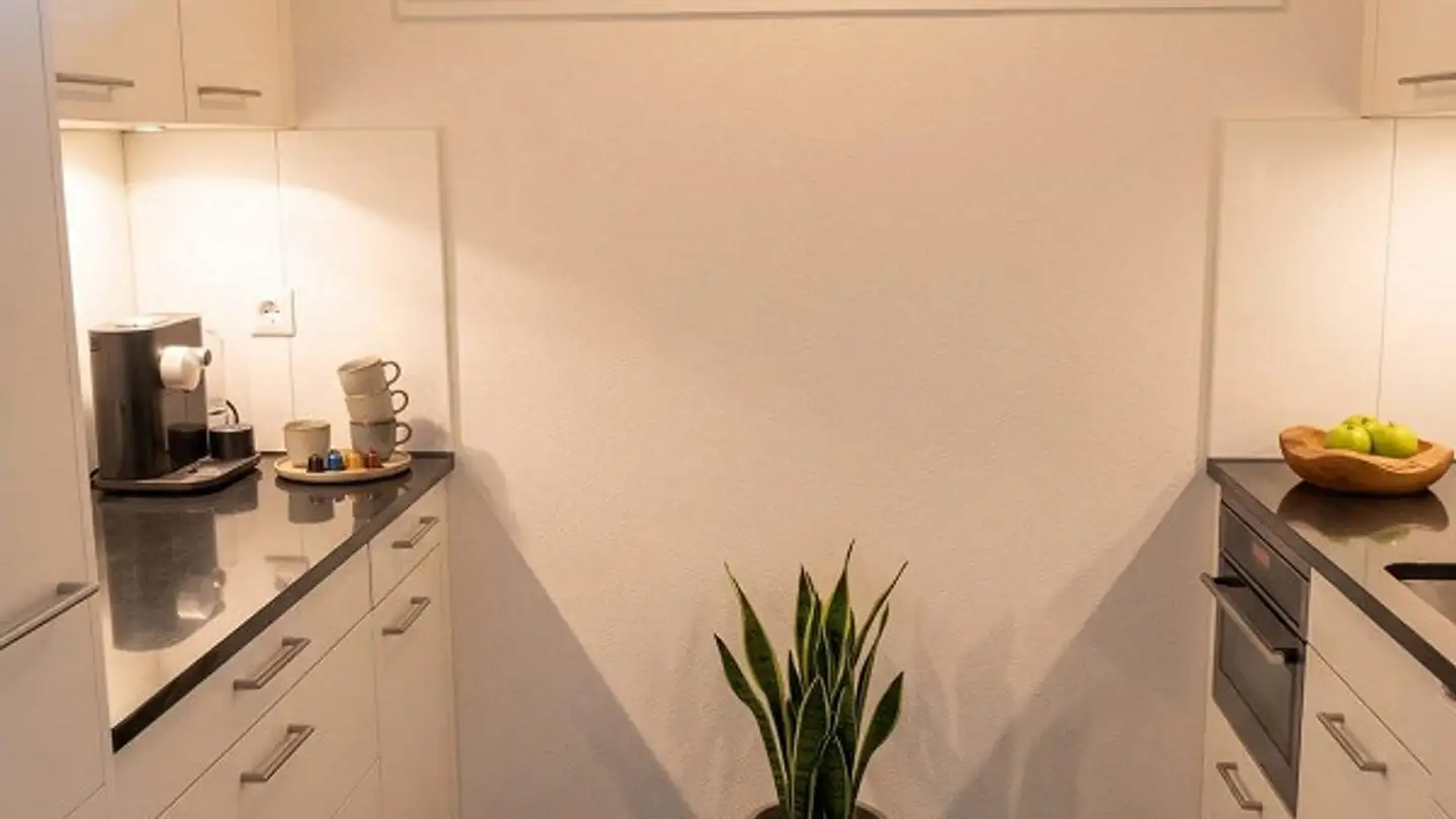 Apartment for rent - 3604 Thun - Photo 2