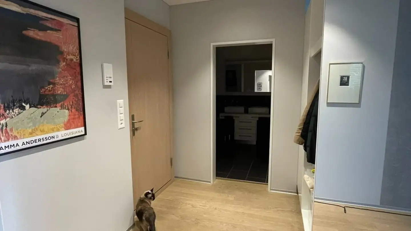 Appartement à louer - Glatttalstrasse 63, 8052 Zürich