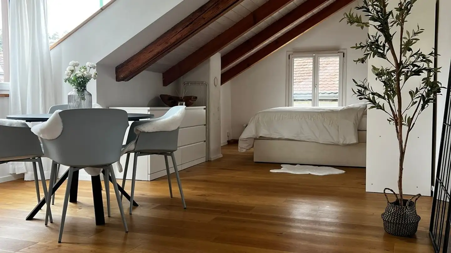 Casa singola in affitto - Zürcherstrasse 21a, 8245 Feuerthalen - Photo 3