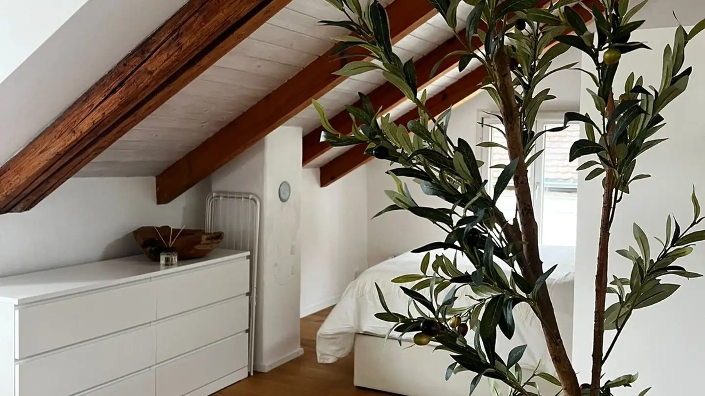 Casa singola in affitto - Zürcherstrasse 21a, 8245 Feuerthalen - Photo 4