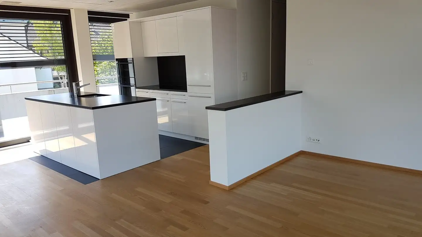 Loft for rent - Allschwilerweg 65, 4102 Binningen