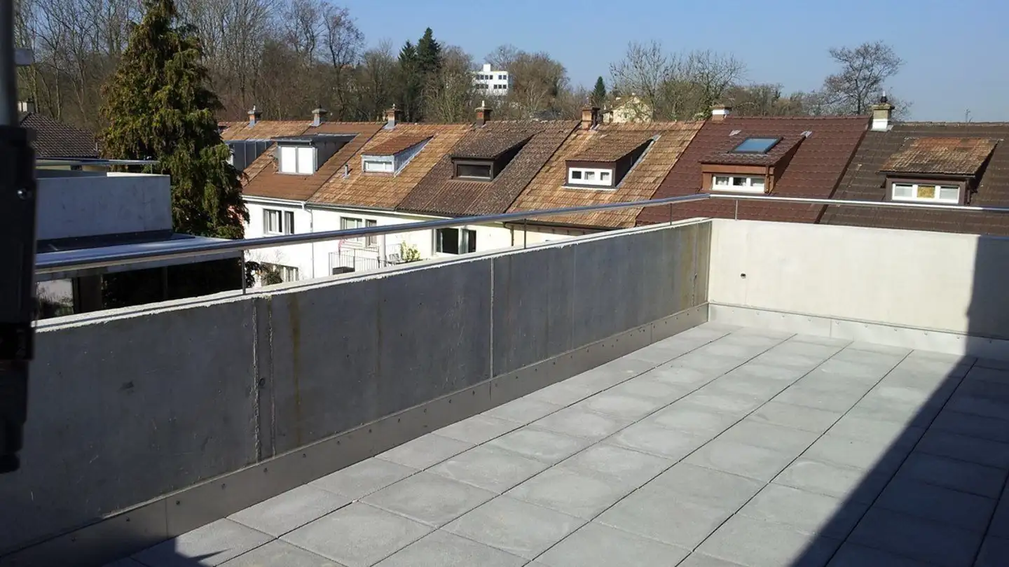 Loft for rent - Allschwilerweg 65, 4102 Binningen - Photo 2