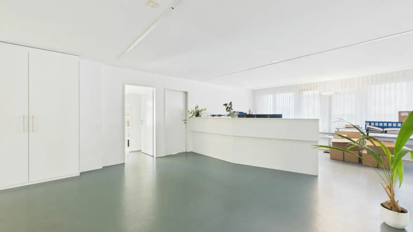 Commerciale in affitto - Huobmattstrasse 7, 6045 Meggen - Photo 3