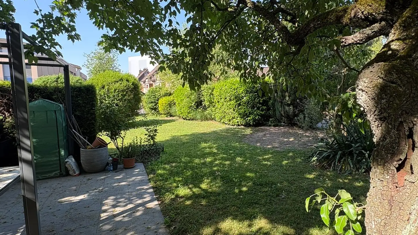 Appartamento in affitto - Lindenbuckstrasse 10, 8306 Brüttisellen - Foto 2