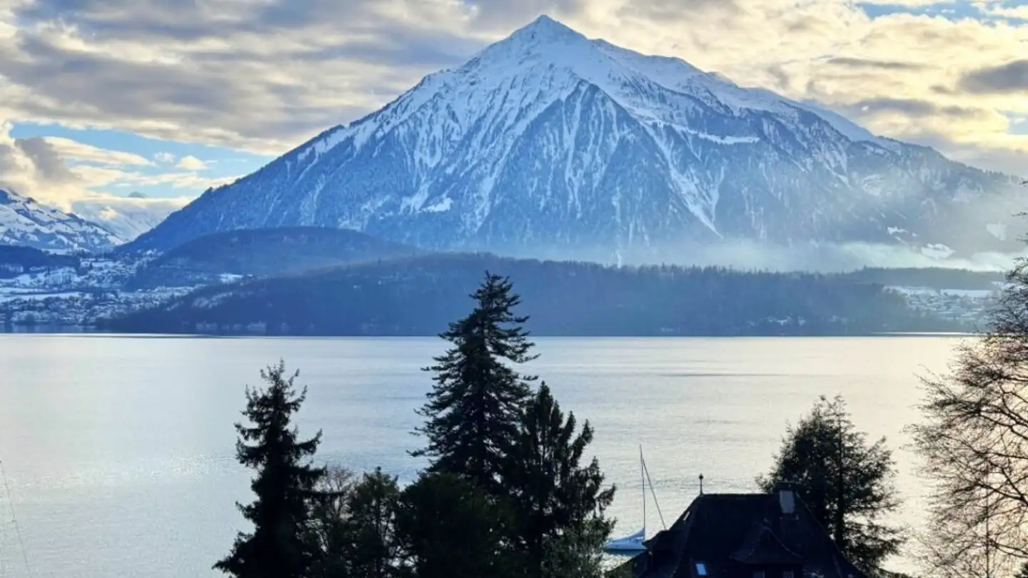 Appartamento in vendita - Herzogenacker, 3654 Gunten - Foto 2